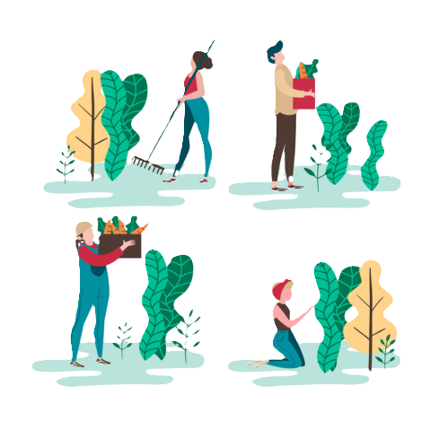 Cleaning Services